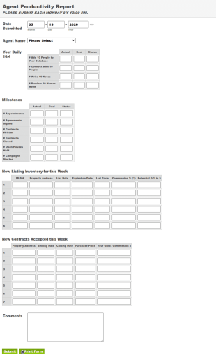 Agent Productivity Report Form Template