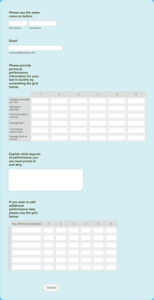 AGENT RAINMAKER Example Form Additional Information Form Template