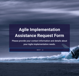 Agile Implementation Assistance Request Form Template