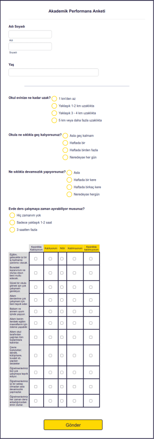 Akademik Performans Anketi Form Şablonu