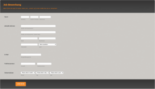 Allgemeine Stellenbewerbung Form Template