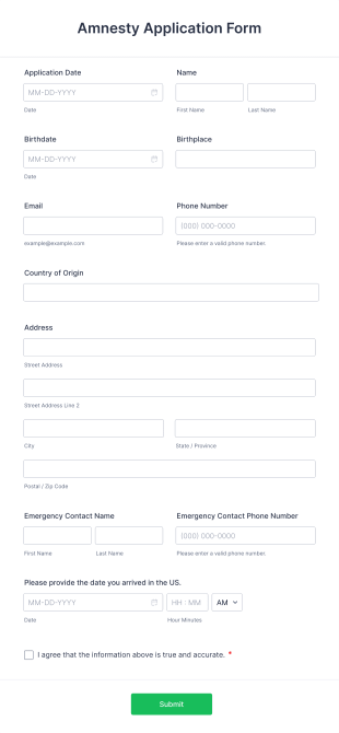 Amnesty Application Form Template
