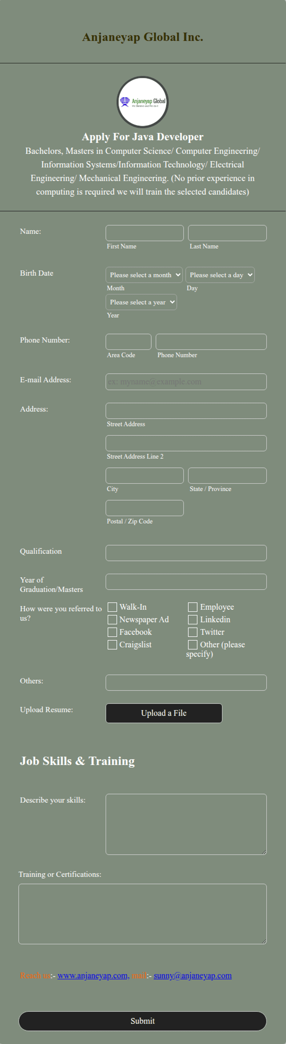 Java Developer Job Application Form Template | Jotform