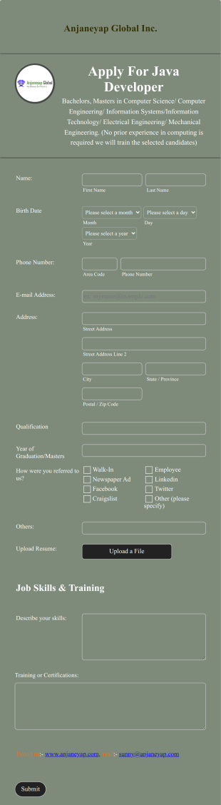 Java Developer Job Application Form Template