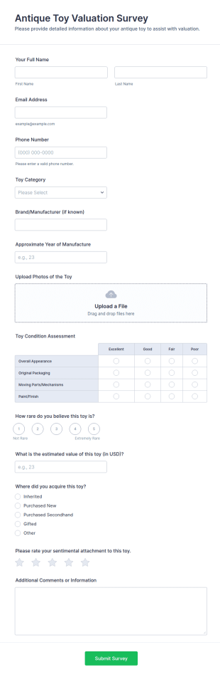 Antique Toy Valuation Survey Form Template