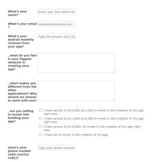 App Development Application Questionnaire Form Template