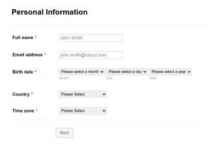 Application Form For Tech Website