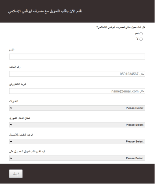 Arabic Financial Application Form RTL CSS