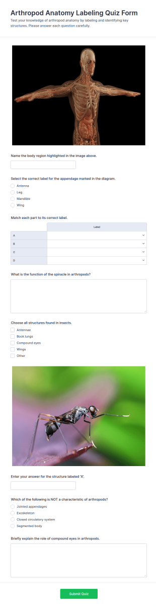 Arthropod Anatomy Labeling Quiz Form Template
