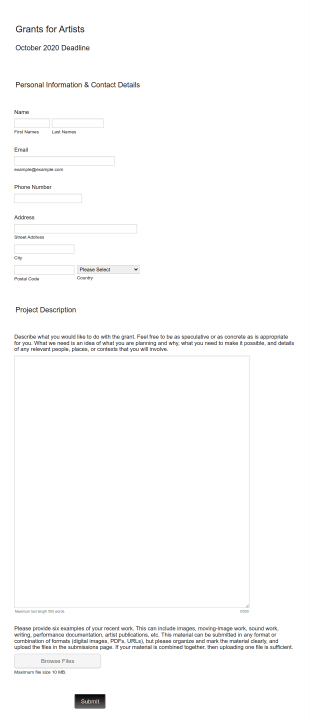 Artist Project Report Form Template