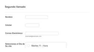 Asignar Turnos