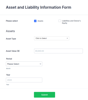 Asset And Liability Information Form Template
