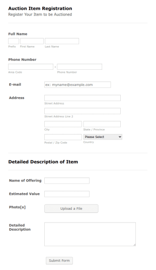 Auction Item Registration Form Template