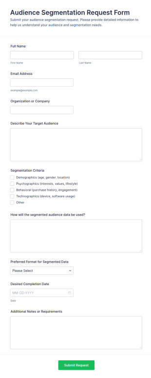 Audience Segmentation Request Form Template