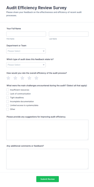 Audit Efficiency Review Survey Form Template