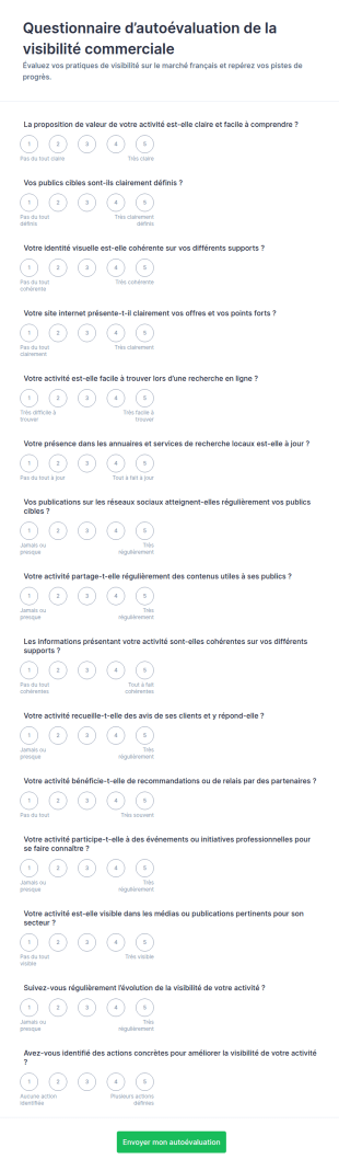 Autoévaluation De La Visibilité Commerciale Survey