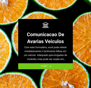 Avarias De Veículos Form Template