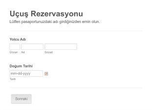 Ayrıntılı Uçuş Rezervasyon Form Şablonu