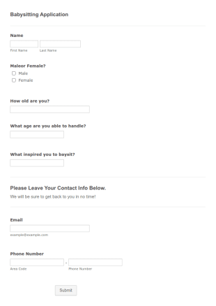 Babysitting Application Form Template