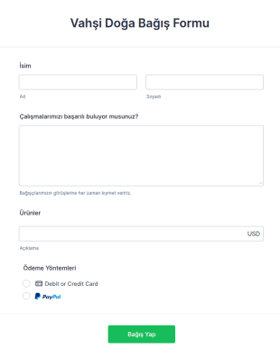 Bağış Formu PayPal Checkout Form Şablonu