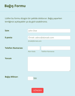 Bağış Ödeme Form Template
