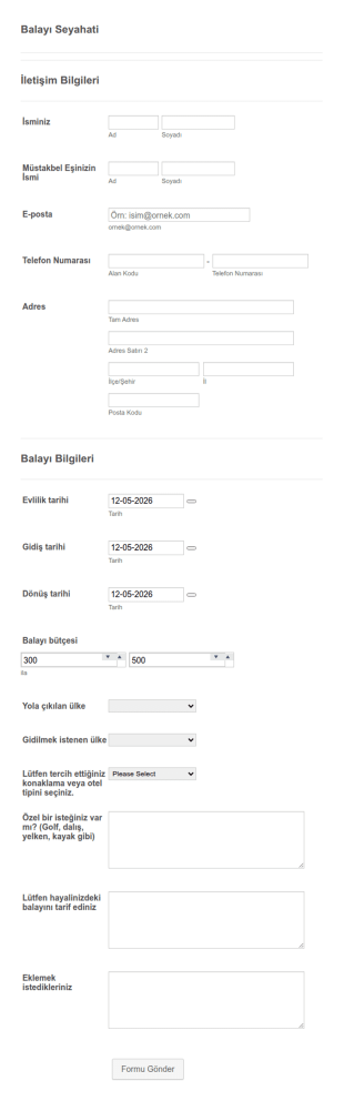 Balayı Seyahati Form Şablonu