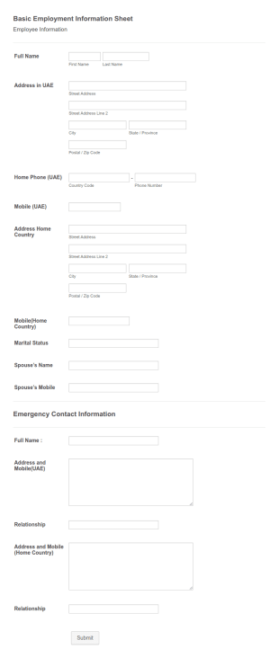 Basic Employment Information Sheet Form Template