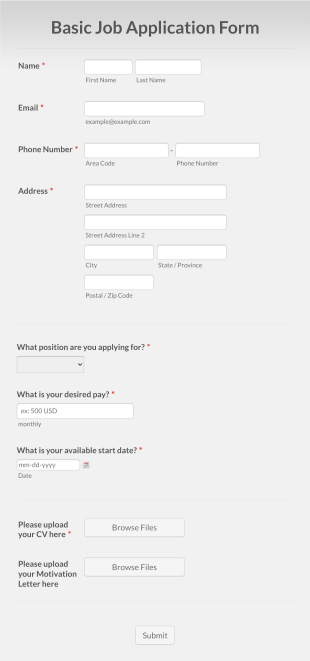 Basic Job Application Form Template
