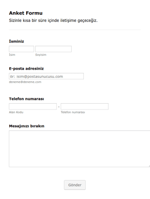 Basit Anket Form Şablonu