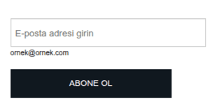 Basit E Posta Form Şablonu