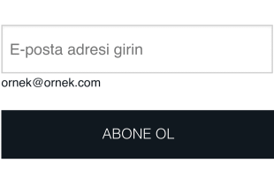 Basit E Posta Form Template