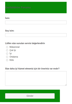 Basit Geribildirim Form Şablonu