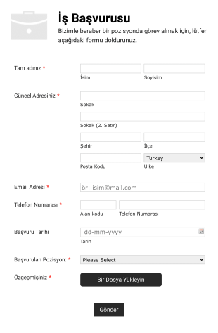 Basit İş Başvurusu Formu Beyaz Ve Mobile Uyumlu Form Template