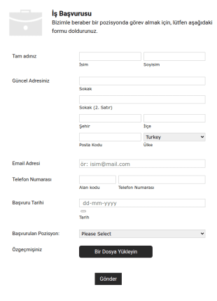 Basit İş Başvurusu Formu Beyaz Ve Mobile Uyumlu Form Şablonu