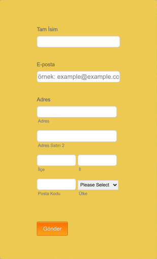 Basit Kayıt Form Template