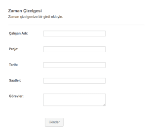 Basit Zaman Çizelgesi Form Şablonu