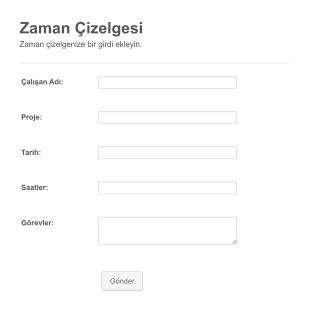 Basit Zaman Çizelgesi Form Şablonu