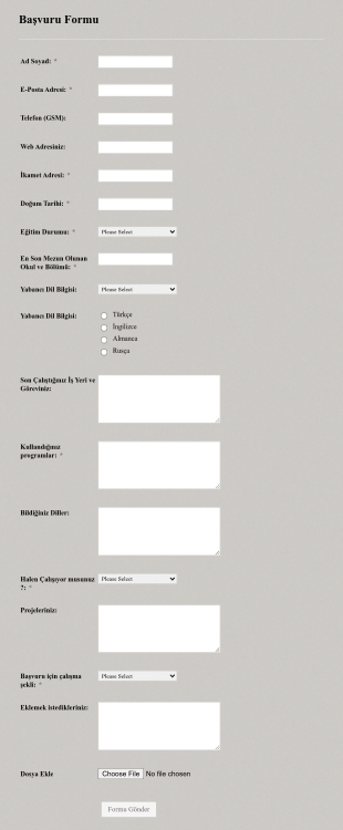 Başvuru Form Template