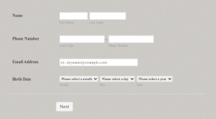 BBM Internship Application Form Template