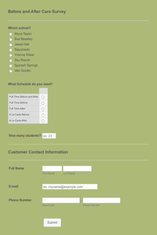 Before And After School Care Registration Form Template