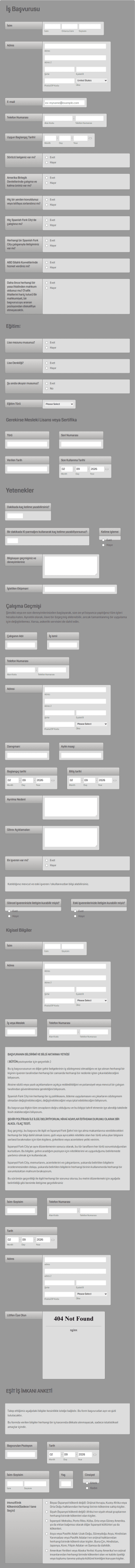Belediye İş Başvuru Form Şablonu