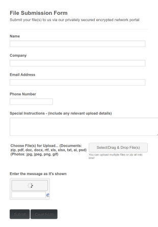 Electronic File Submission Form Template