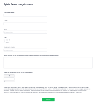Bewerbungsformular Für Die Spielebranche Form Template