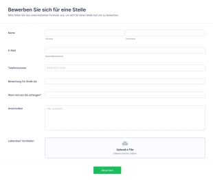 Bewerbungsformular Für Einen Job Form Template