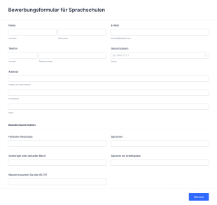 Bewerbungsformular Für Sprachschulen Form Template