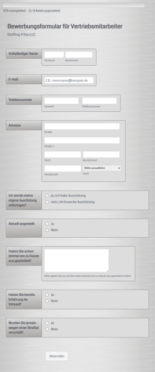 Bewerbungsformular Für Vertriebsmitarbeiter Form Template