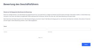 Bewertung Des Geschäftsführers Form Template