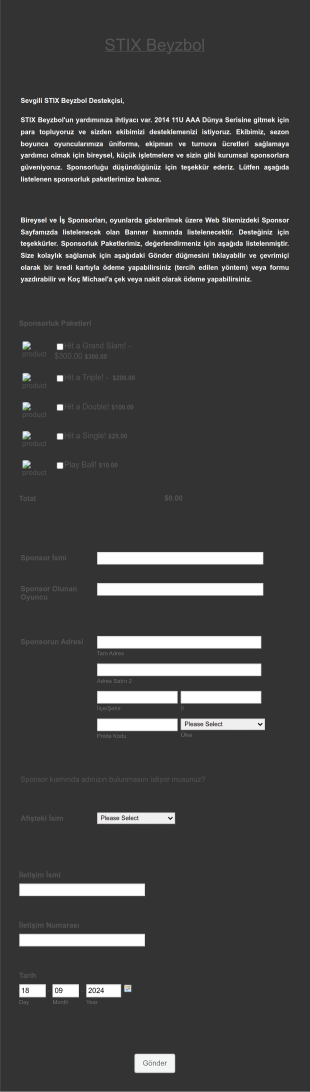 Beyzbol Bağış Toplama Form Template