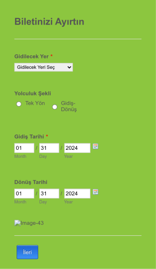 Bilet Satış Form Şablonu