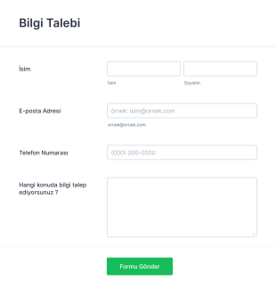 Bilgi Talep Form Template